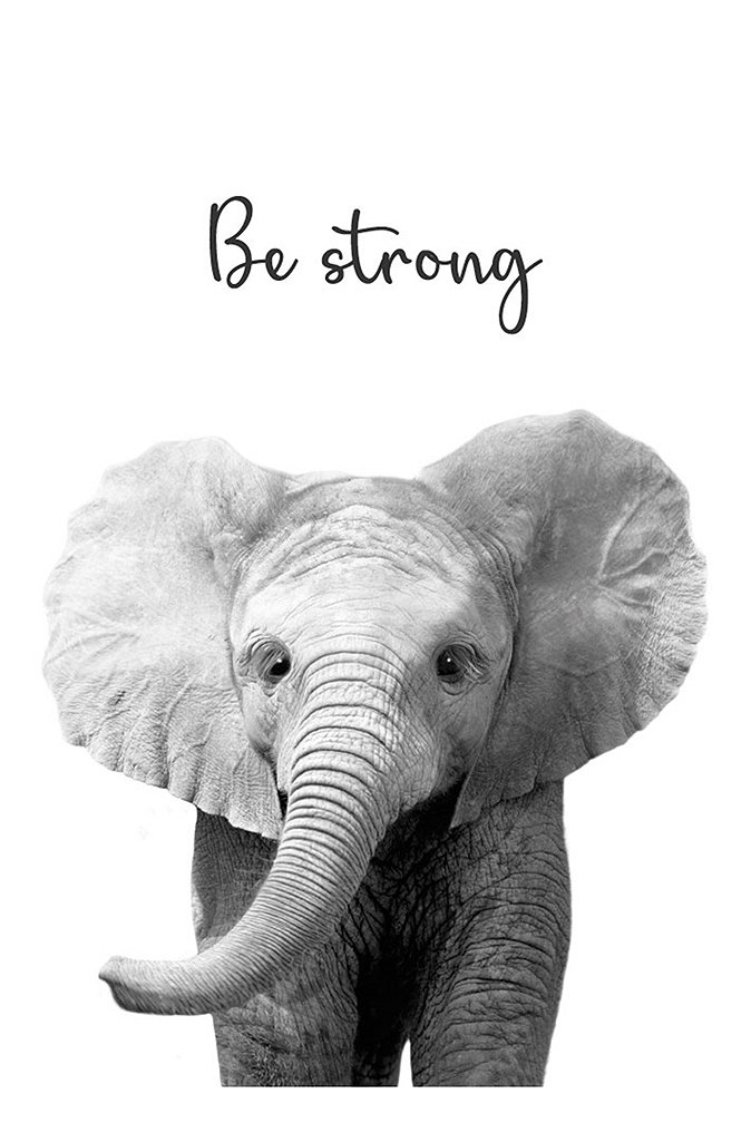 5efd289cefc80_elefante_be_strong.jpg