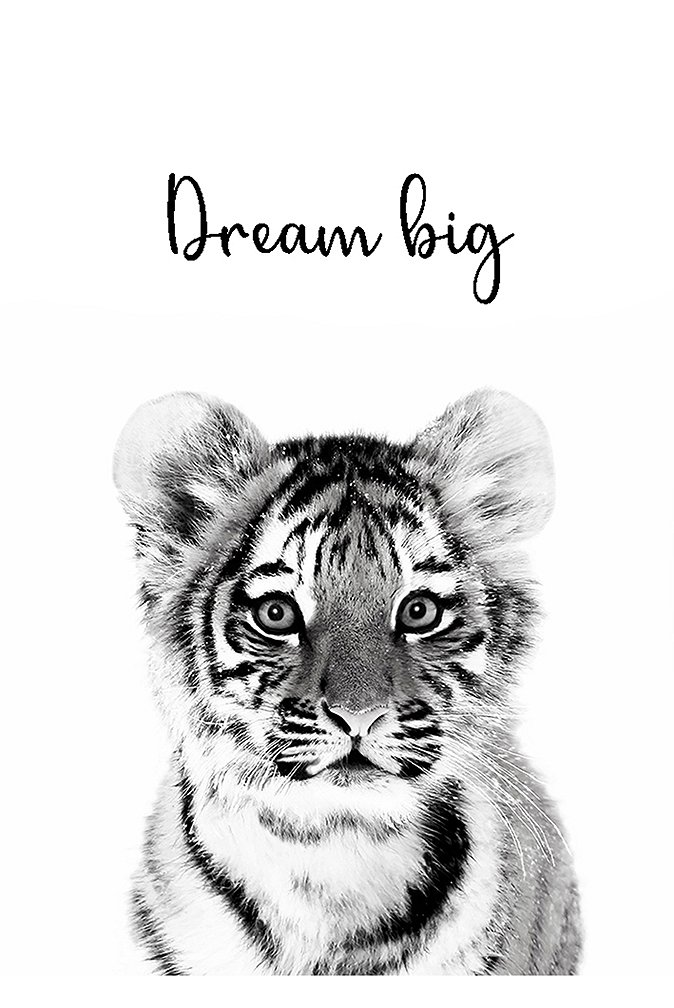 5efd29377018b_Tigre_dream_big.jpg